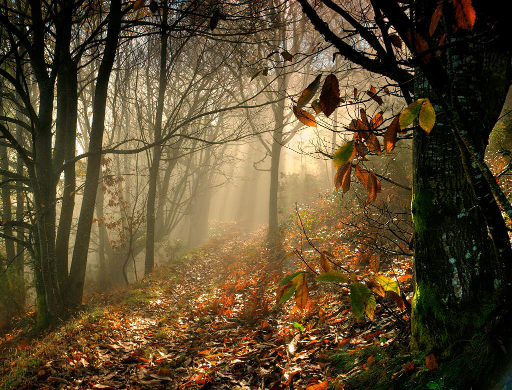 Entorno a casoa turismo rural galego asturiano